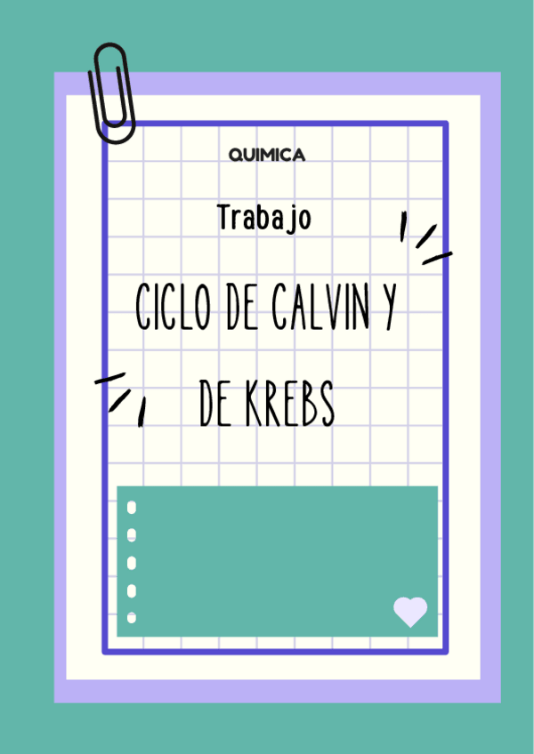 Miniatura del documento Ciclo-de-Calvin-y-Krebs.pdf