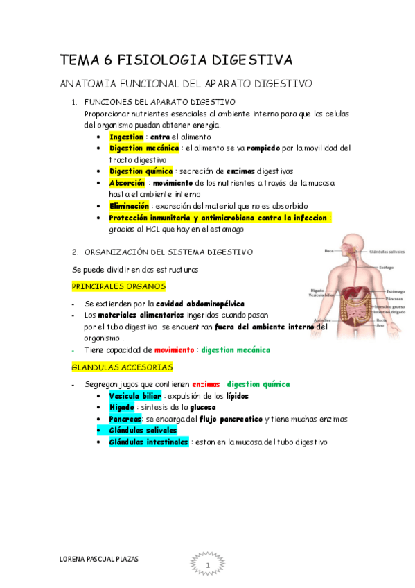 Miniatura del documento TEMA-6-FISIOLOGIA-DIGESTIVA.pdf