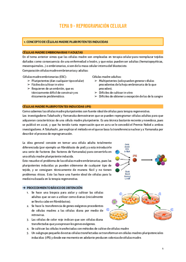 Miniatura del documento TEMA-9.pdf