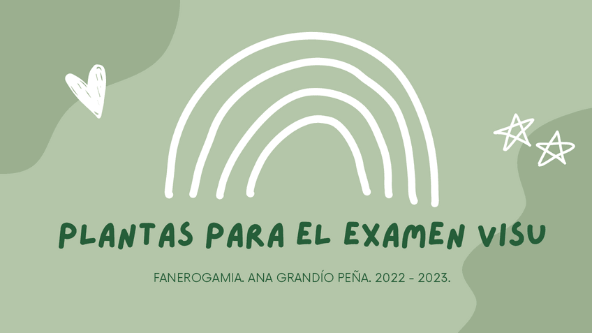 Miniatura del documento Apuntes-Visu-FANERO.pdf