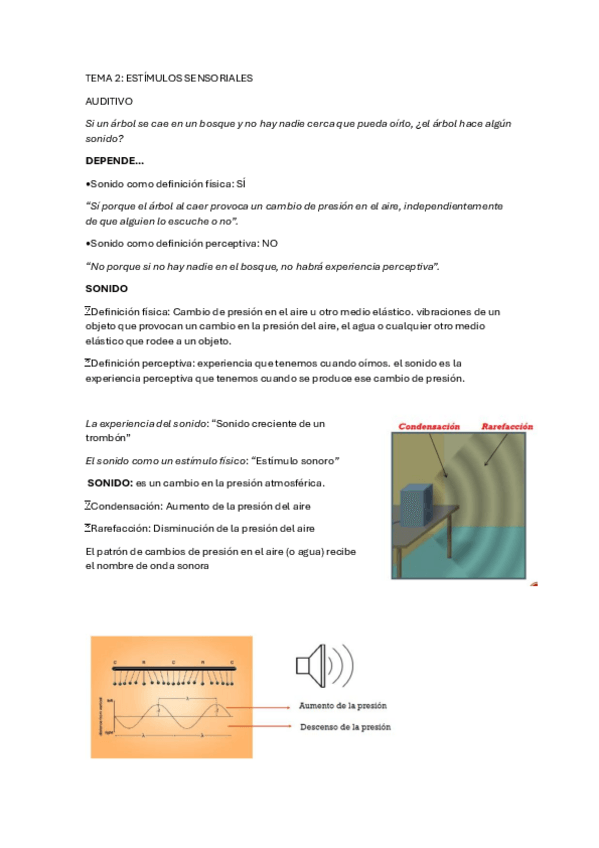 Miniatura del documento percepcion-tema-2.pdf
