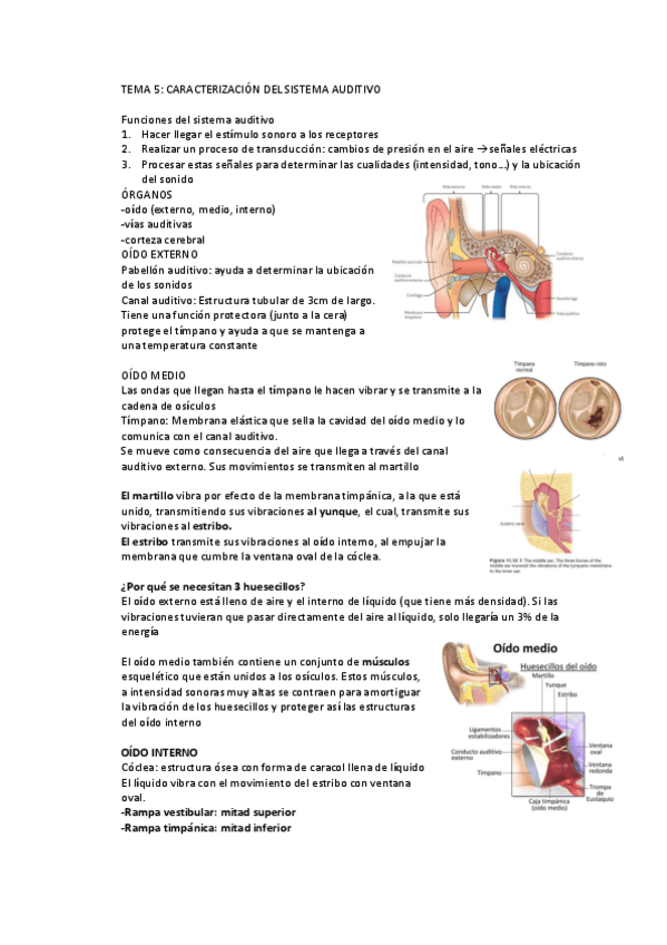 Miniatura del documento TEMA-5.pdf