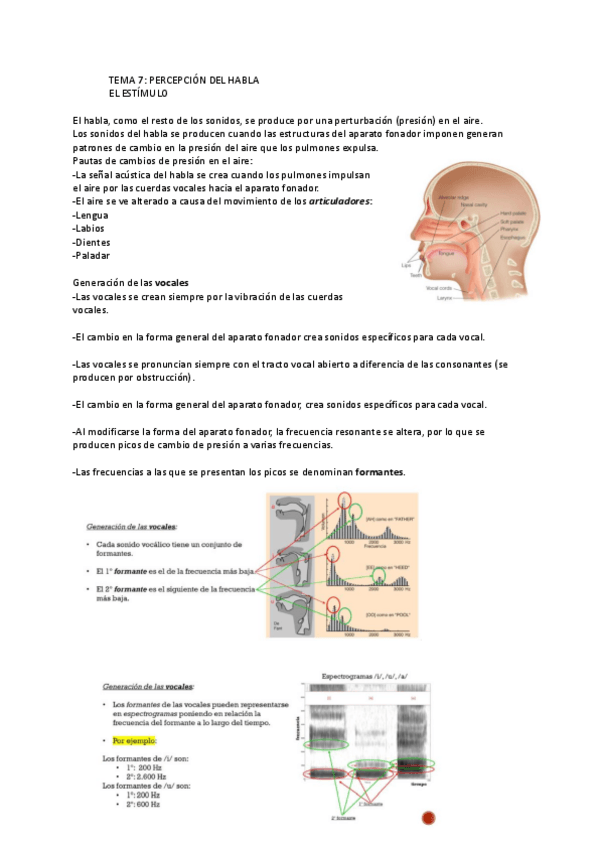 Miniatura del documento TEMA-7.pdf