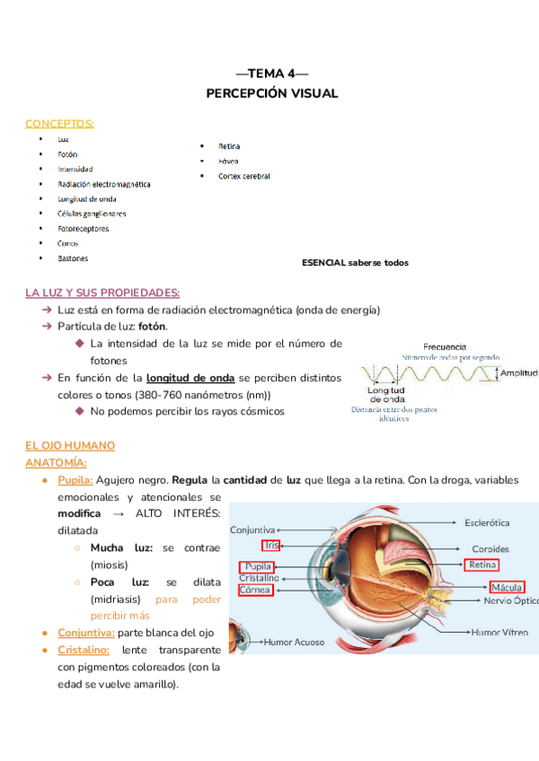 Miniatura del documento TEMAS-4-y-5.pdf
