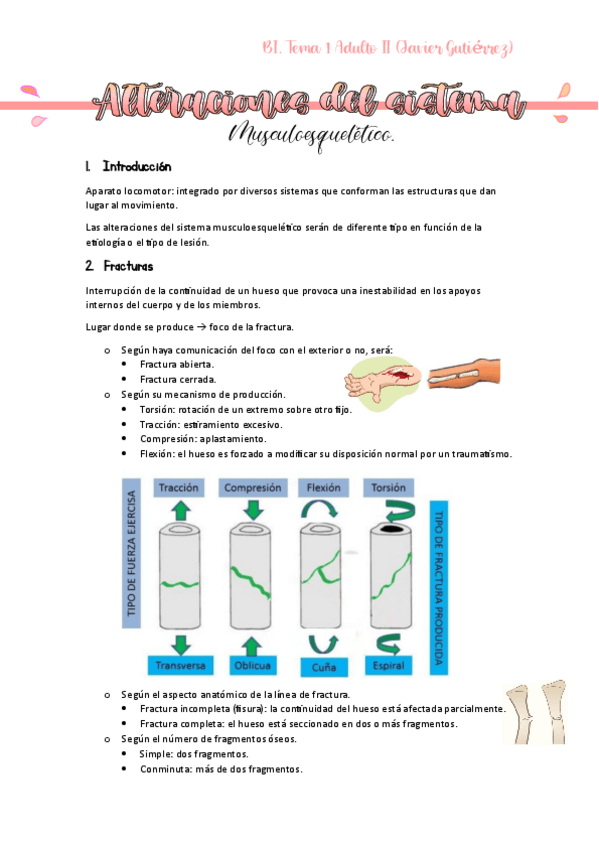 Miniatura del documento Adulto-II-T1-y-2-Javier.pdf