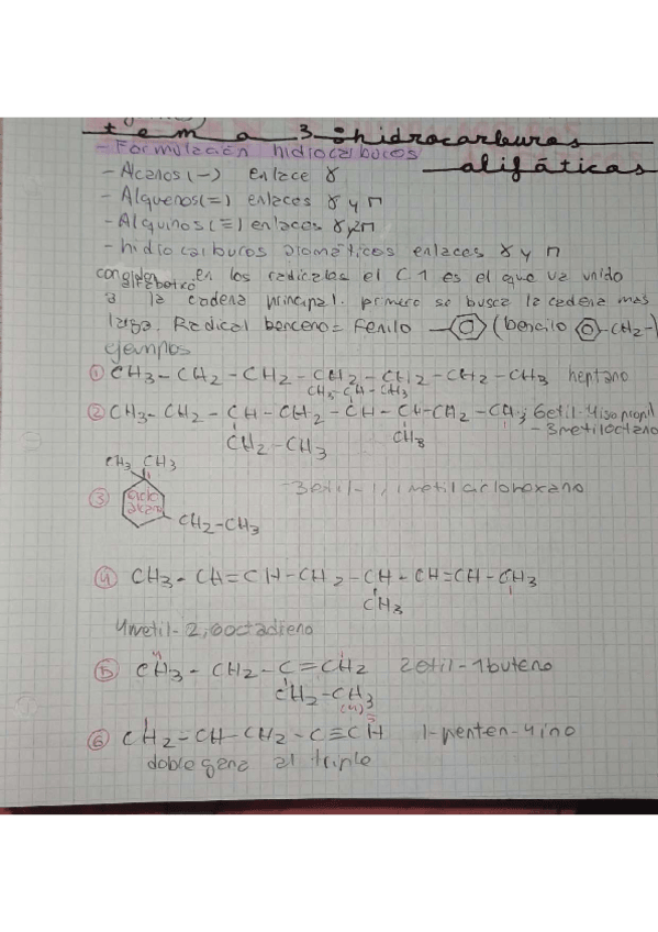 Miniatura del documento TEMA-3-hidrocarburos-alifaticos.pdf