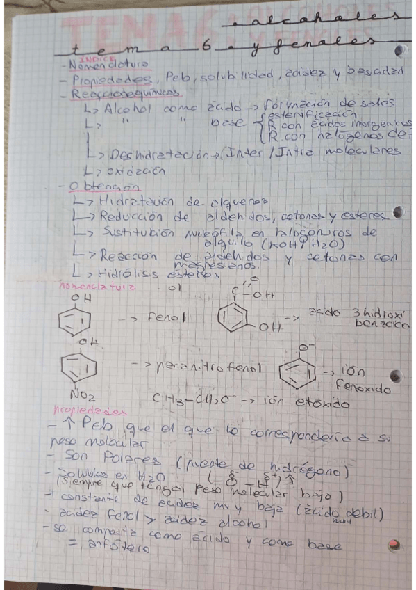 Miniatura del documento TEMA-6-alcoholes-y-fenoles.pdf
