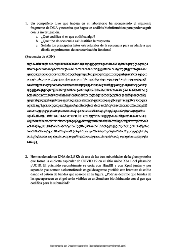 Miniatura del documento Supuestamente-examen-2021-de-Concha.pdf