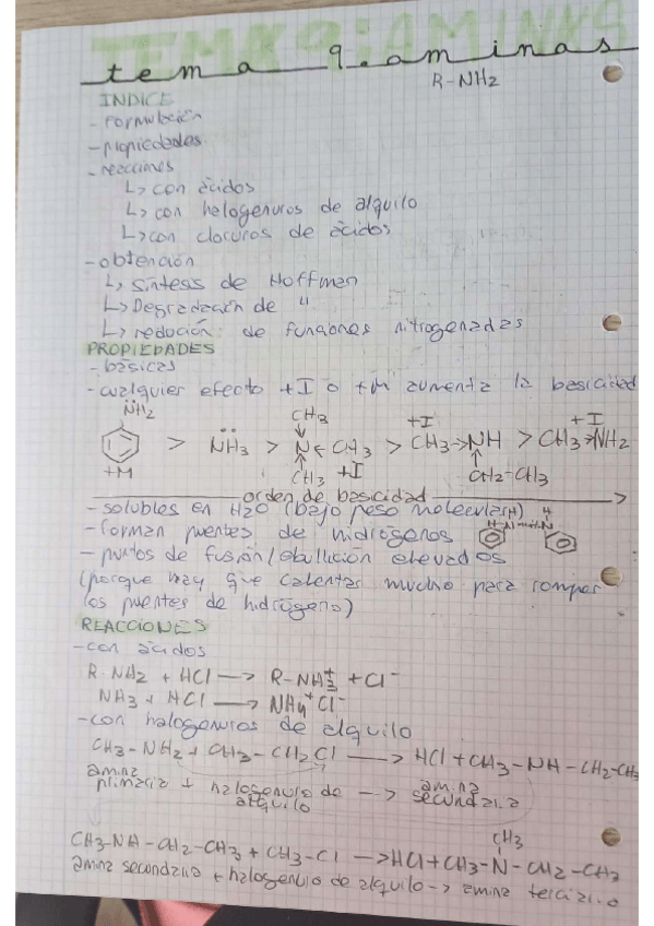 Miniatura del documento TEMA-9-aminas.pdf