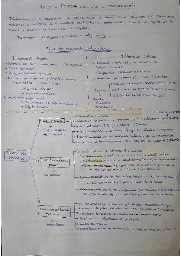 Miniatura del documento tema-4-esquema.pdf