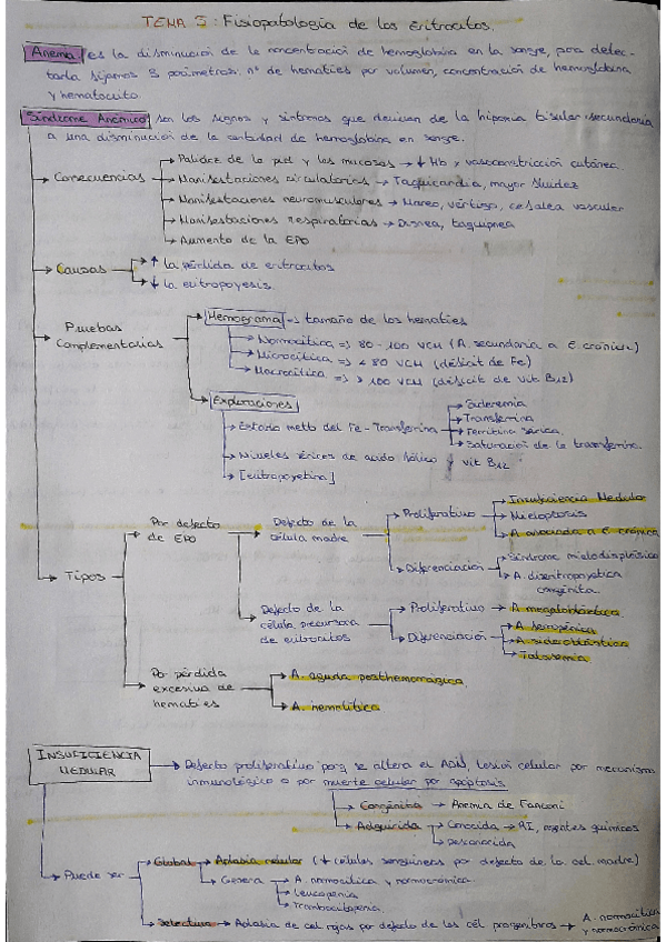 Miniatura del documento tema-5-esquema.pdf