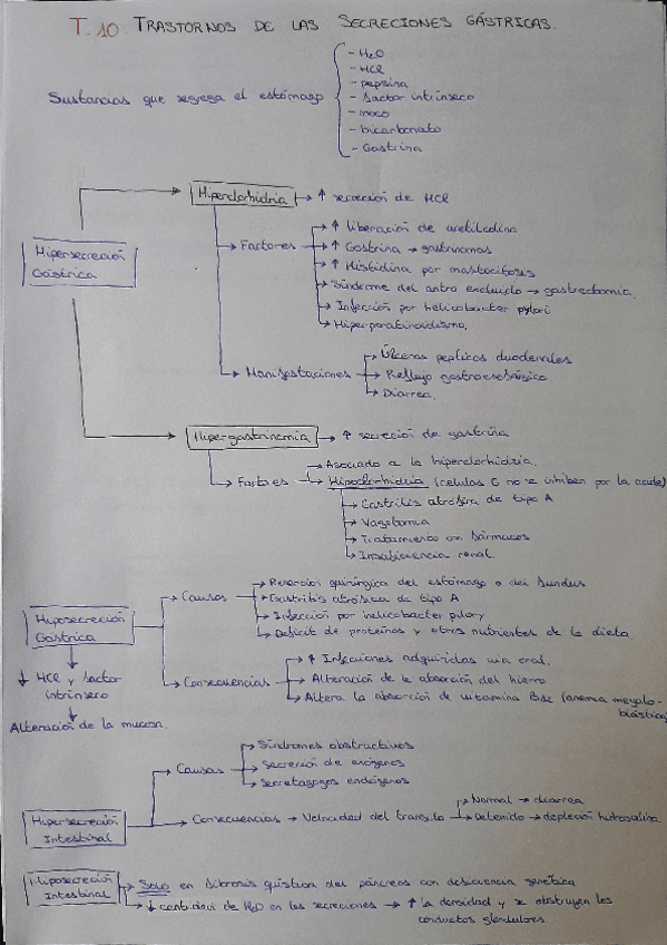 Miniatura del documento tema-10-esquema.pdf