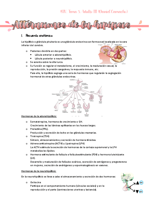 Miniatura del documento Adulto-II-T5-6-8-16-al-20-Daniel.pdf