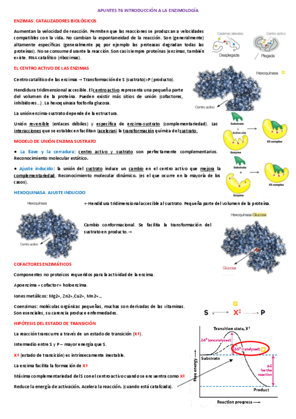 Miniatura del documento APUNTES-T6.pdf