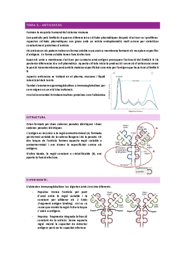 Miniatura del documento IMMUNOLOGIA-TEMA-5.pdf
