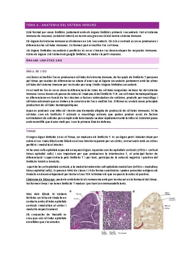Miniatura del documento IMMUNOLOGIA-TEMA-6.pdf