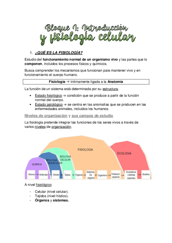 Miniatura del documento BLOQUE-I.-INTRODUCCION-Y-FISIOLOGIA-CELULAR.pdf