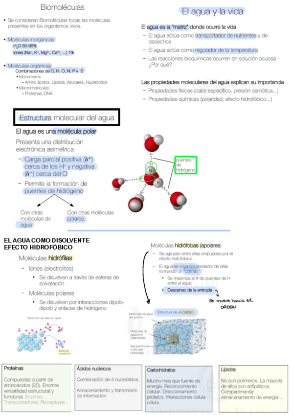 Miniatura del documento TEMA-1-6 BIOQUÍMICA.pdf