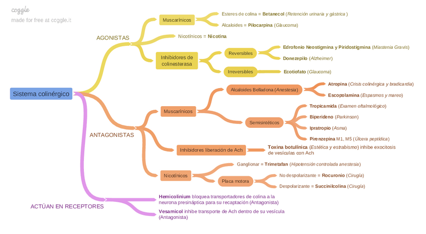 Miniatura del documento II.-Farmacologia-del-SNC.pdf
