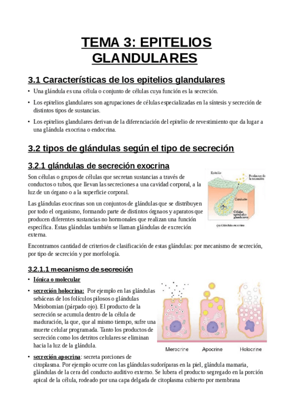 Miniatura del documento tema-3-glandulas-endocrinas.pdf