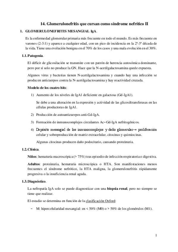 Miniatura del documento 14.-Glomerulonefritis-que-cursan-como-sindrome-nefritico-II.pdf