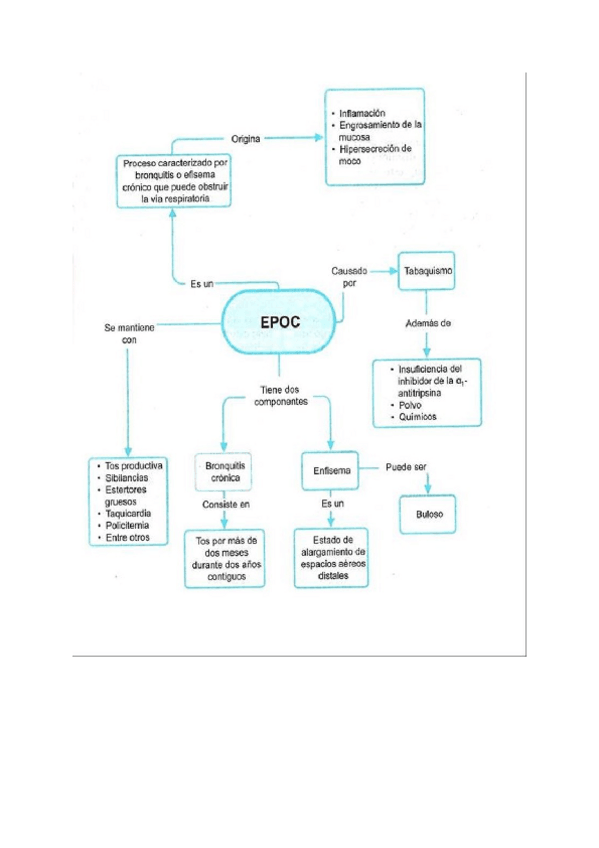 Miniatura del documento Todos-Esquemas-Barca-menos-cardio.docx