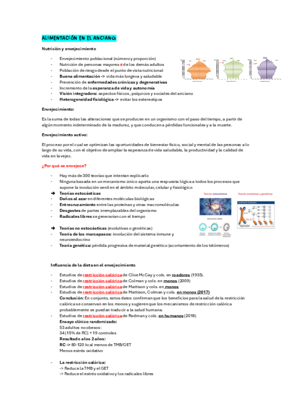 Miniatura del documento Alimentacion-en-el-anciano.pdf
