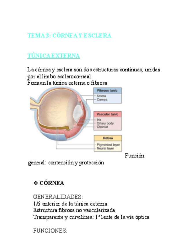 Miniatura del documento FISIO-OCULAR-T3.pdf