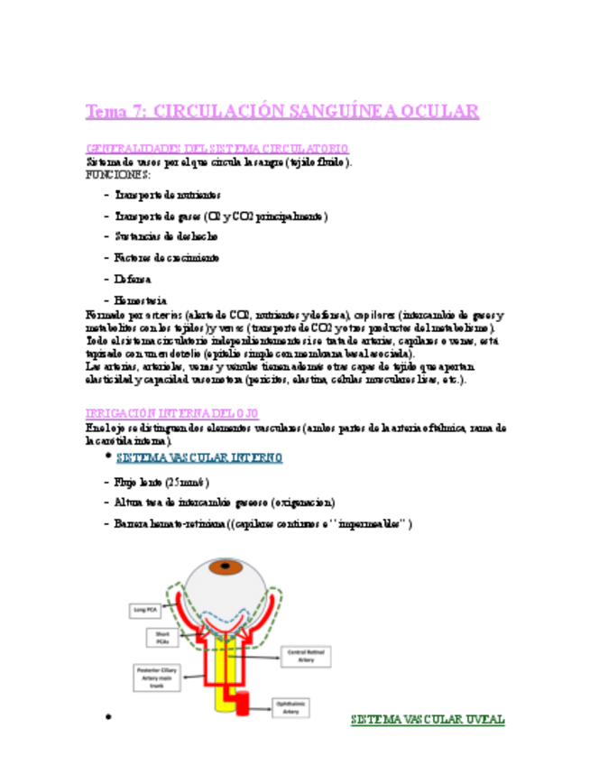 Miniatura del documento FISIOLOGIA-OCULAR-T7.pdf