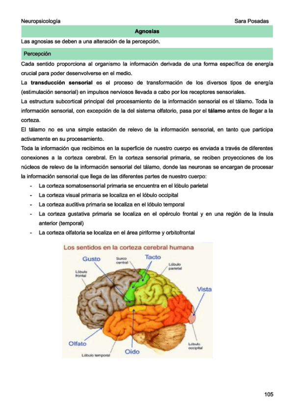Miniatura del documento neuro-t4-agnosias.pdf