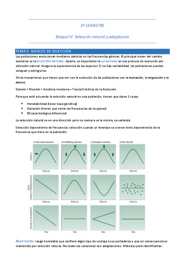 Miniatura del documento Parcial-2-Bioevo.pdf
