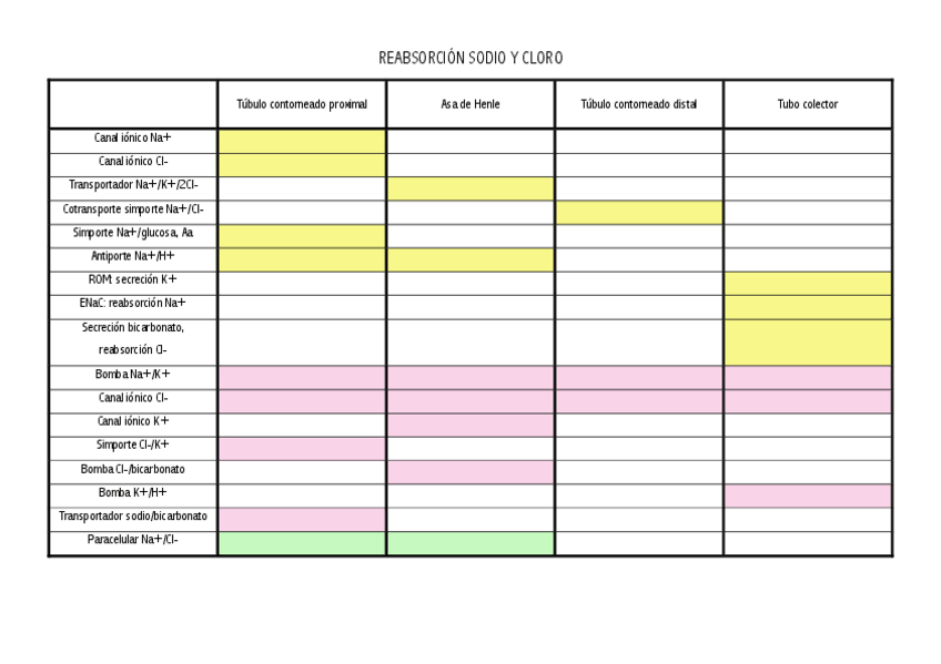 Miniatura del documento reabsorcion-sodio-y-cloro.pdf