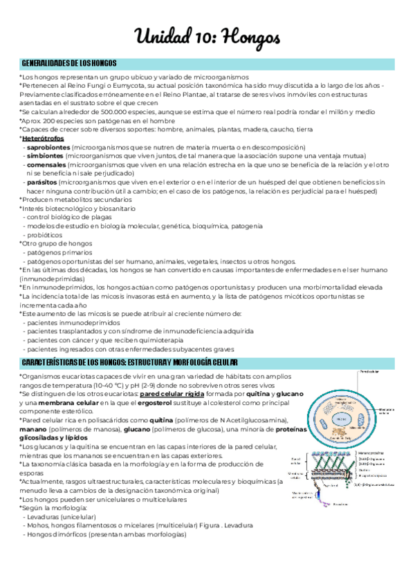 Miniatura del documento Unidad-10-Hongos.pdf