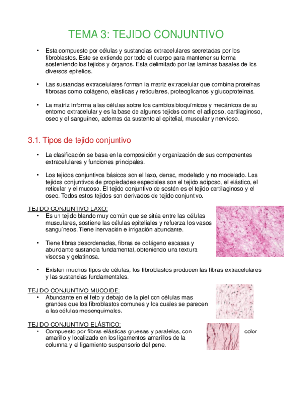 Miniatura del documento Tema-3-Tejido-conjuntivo.pdf