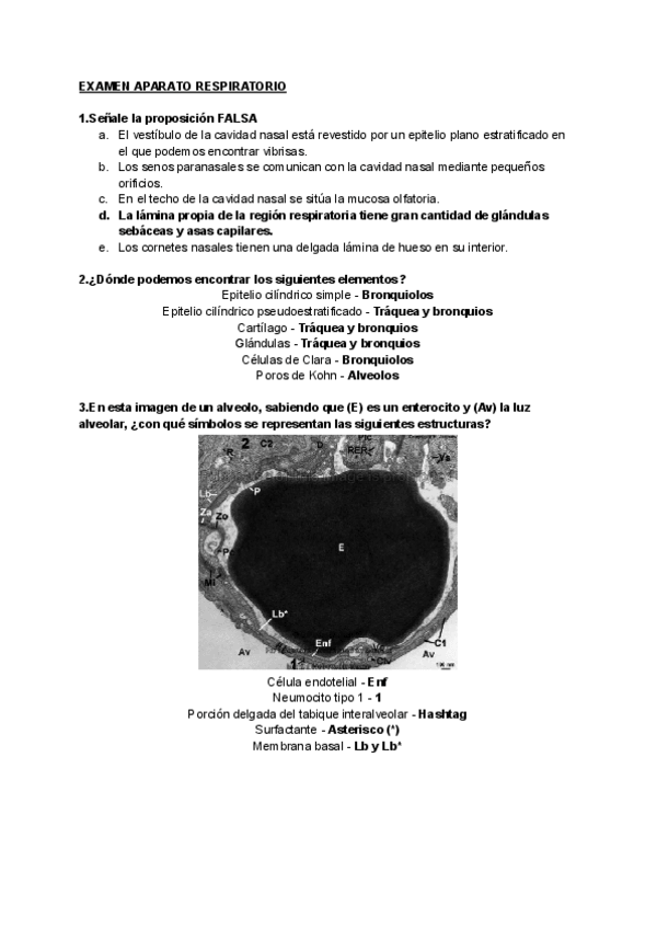 Miniatura del documento EXAMEN-APARATO-RESPIRATORIO.pdf