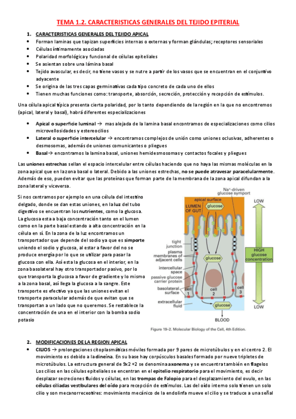 Miniatura del documento TEMA-1.2.pdf