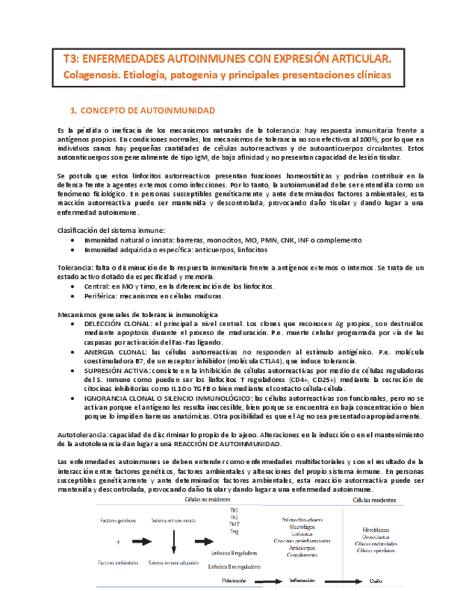 Miniatura del documento Enfermedades-autoinmunes-con-expresion-articular-T3-OSTEO-ARTICULAR.pdf
