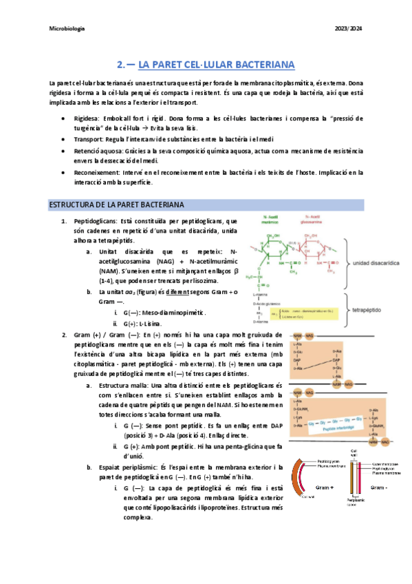 Miniatura del documento Tema2Micro.pdf