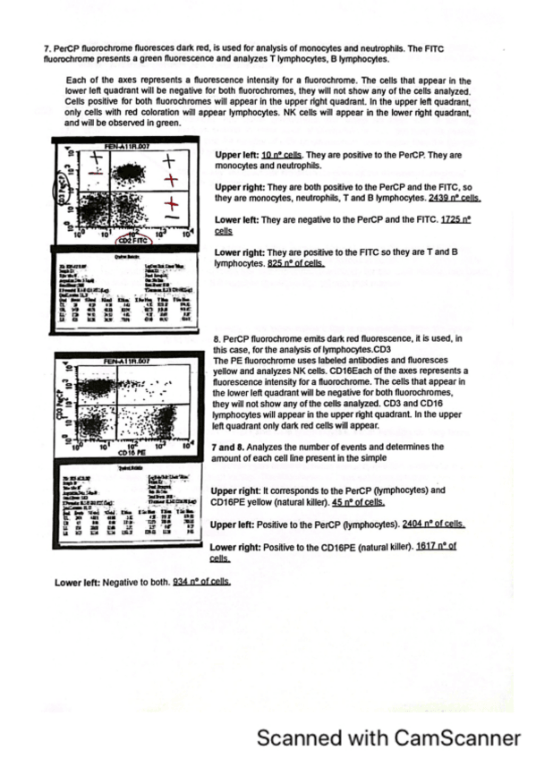 Miniatura del documento Ejercicios-interpretar-graficas.pdf