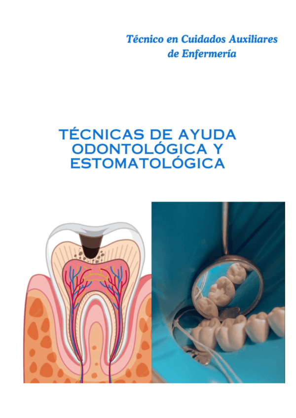 Miniatura del documento TECNICAS-DE-AYUDA-ODONTOLOGICA-Y-ESTOMATOLOGICA.pdf