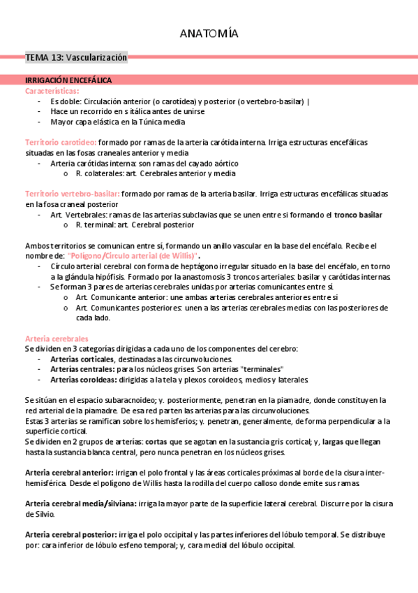 Miniatura del documento tema-13-vascularizacion.pdf