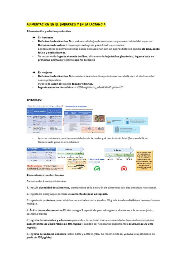 Miniatura del documento Alimentacion-en-el-embarazo-y-lactancia.pdf