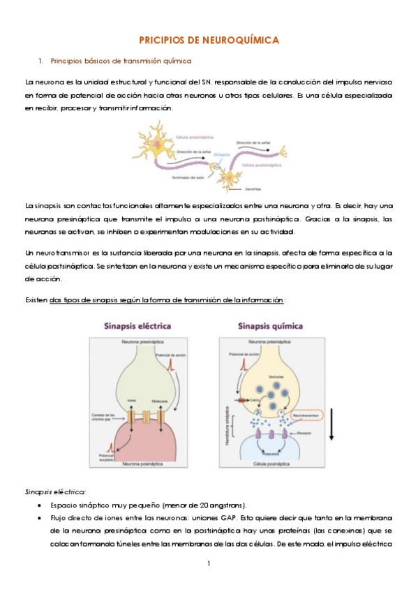 Miniatura del documento APUNTES-NEUROQUIMICA.pdf