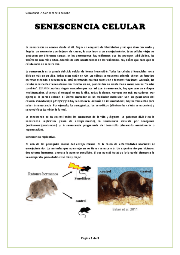 Miniatura del documento Apuntes.-Seminario-Senescencia-celular.pdf