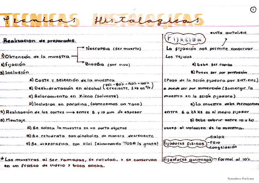 Miniatura del documento FICHAS-Tec.-Hist.-TE-TC.pdf