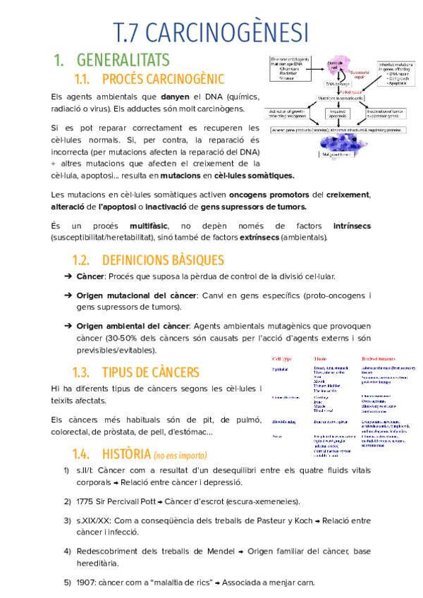 Miniatura del documento T.7-CARCINOGENESI-EN-PROCES.pdf