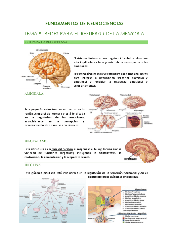 Miniatura del documento NEUROCIENCIAS-TEMA-9.pdf