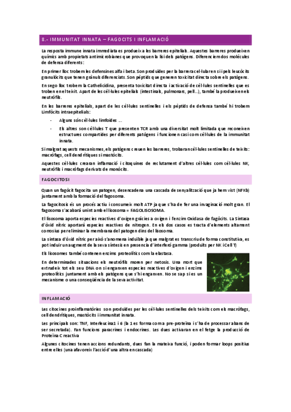 Miniatura del documento IMMUNOLOGIA-TEMA-8.pdf