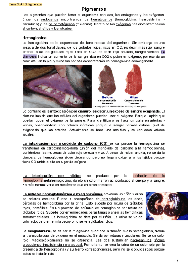 Miniatura del documento Pigmentos.pdf