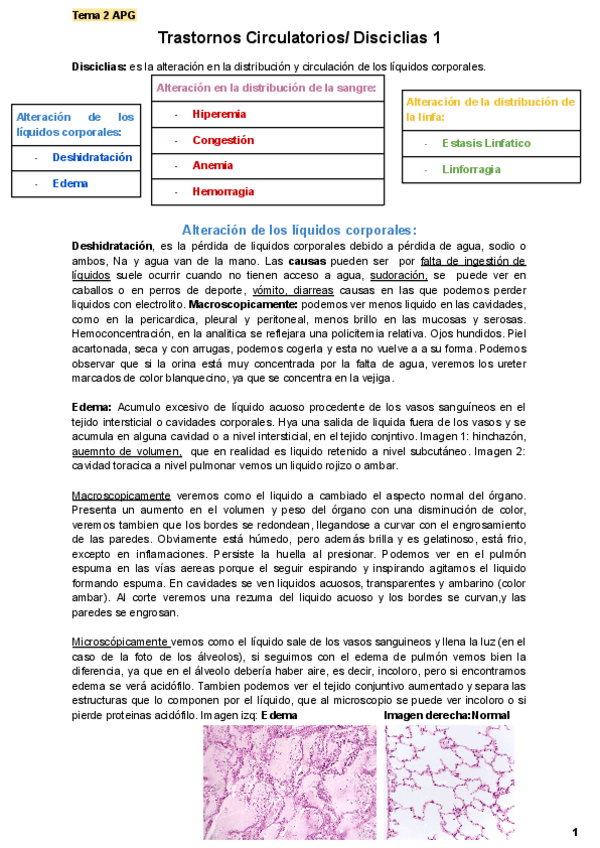 Miniatura del documento Transtornos-Circulatorios-Disciclias.pdf